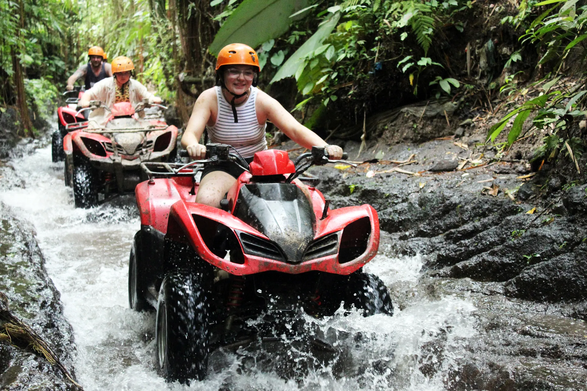 Ubud, Lovina, and Padang Bai with AW Trans Bali